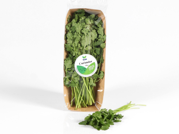 Mynd Koriander 50 gr.