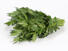Mynd Skessujurt 1 kg (Lovage)