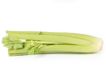 Mynd Sellerí erl 8,7 kg.