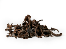 Mynd Black Trumpet  Sveppir 1kg