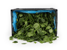 Mynd Baby spínat 3,5 kg.GRIND - Þvegið