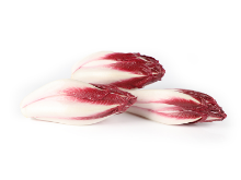 Mynd Endive salat rautt 2,5 kg.