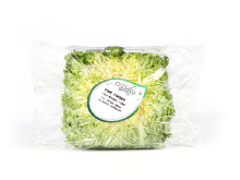 Mynd Frisee salat  erl. STK  