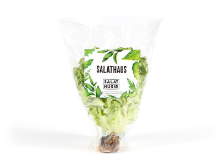 Mynd Salathúsið - Salathaus í potti 135 gr.