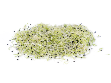 Mynd Blaðlauksspírur 50gr 