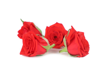 Mynd Edible Roses 9 pieces