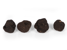 Mynd Black truffle 1 kg.