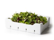 Mynd Mesclun 500 gr